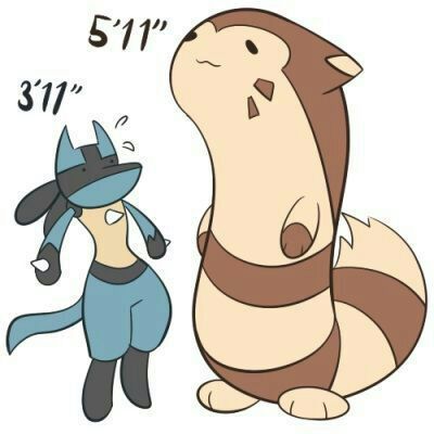 furret actual size