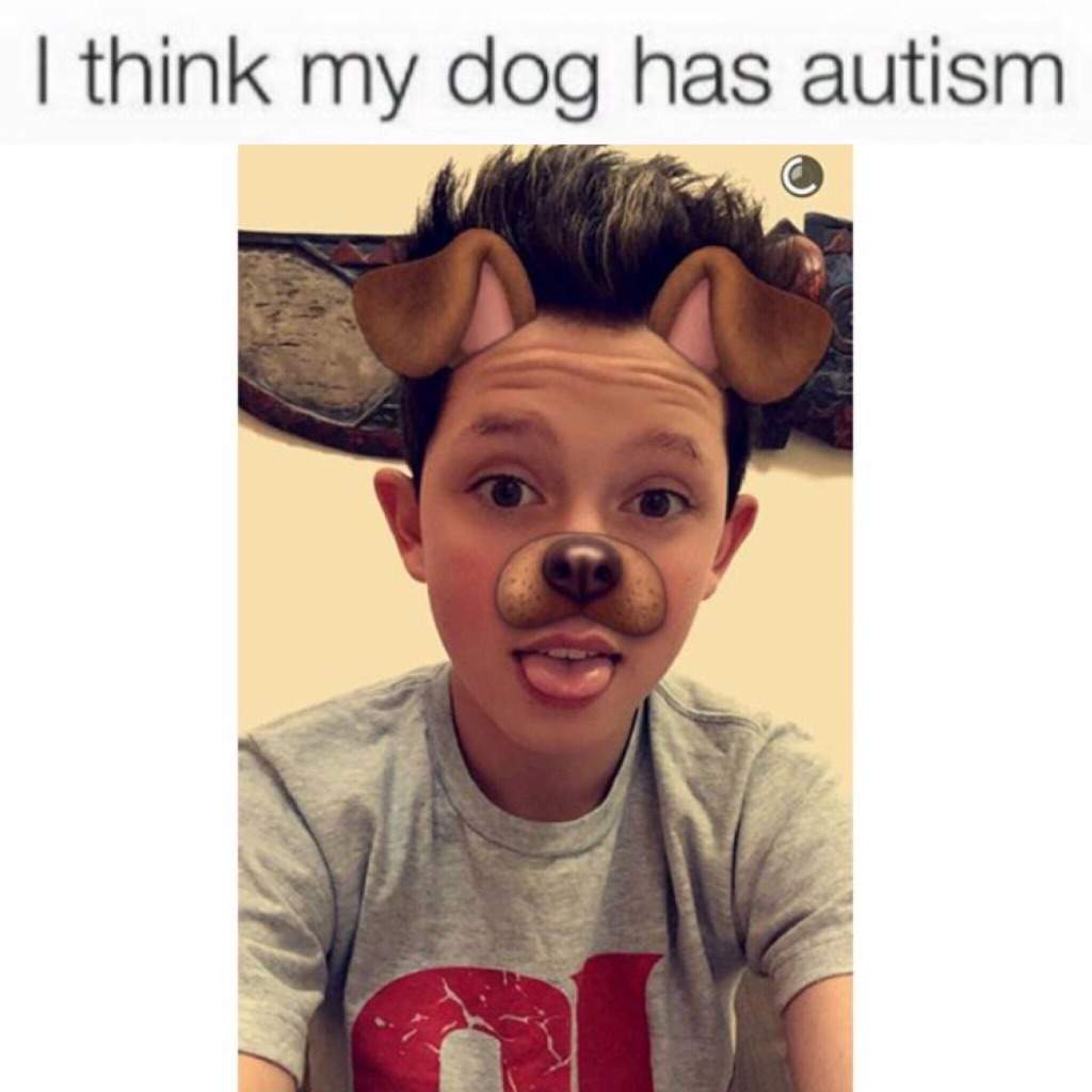 i-think-my-dog-has-autism-dank-memes-amino