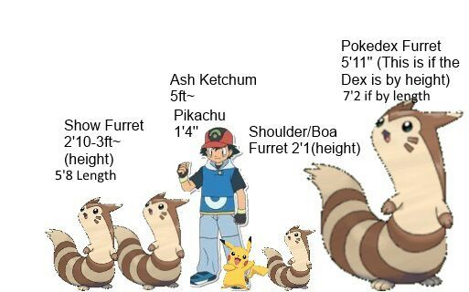 20 inch furret