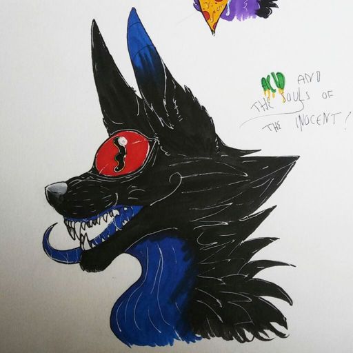 Arctica (Arti) | Wiki | Furry Amino