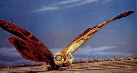 Mothra{Showa} | Wiki | Godzilla Amino