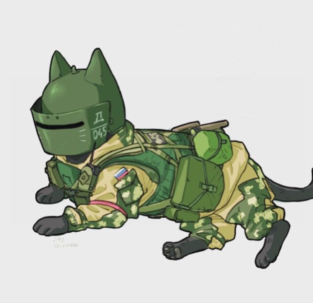 Cat Operators! | Rainbow Six Siege Amino