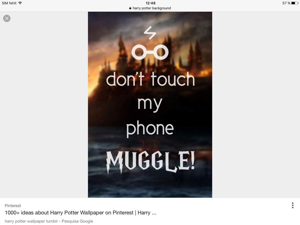Who Also Has This Harry Potter Amino