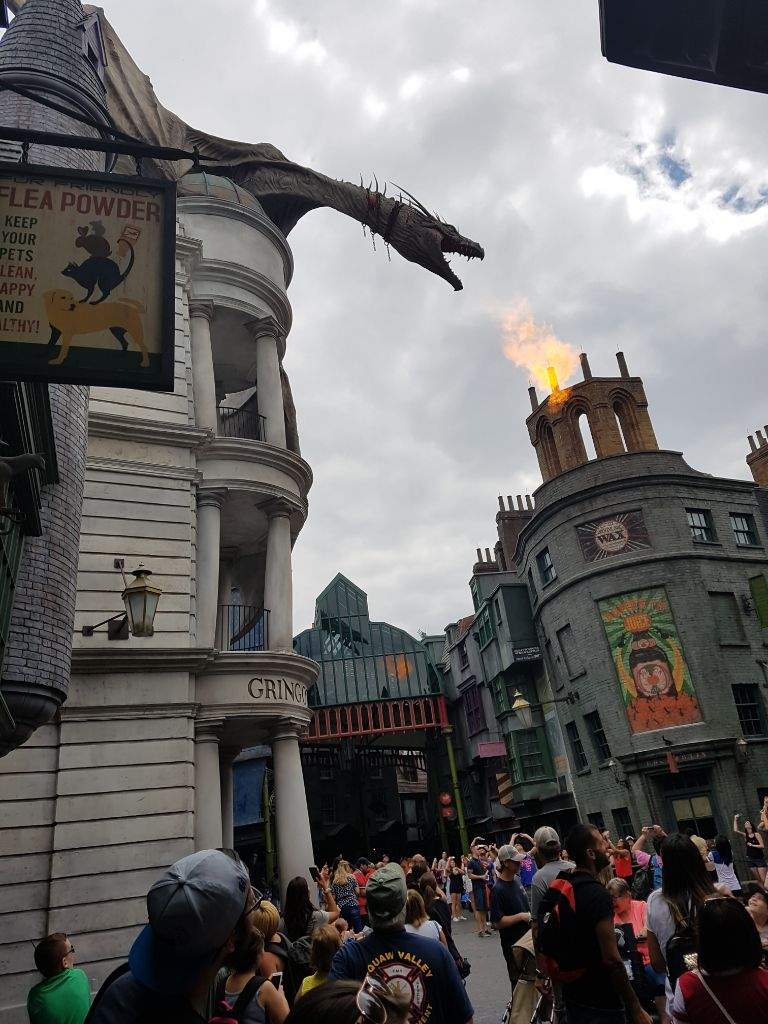 Harry Potter World Universal Studios | Harry Potter Amino