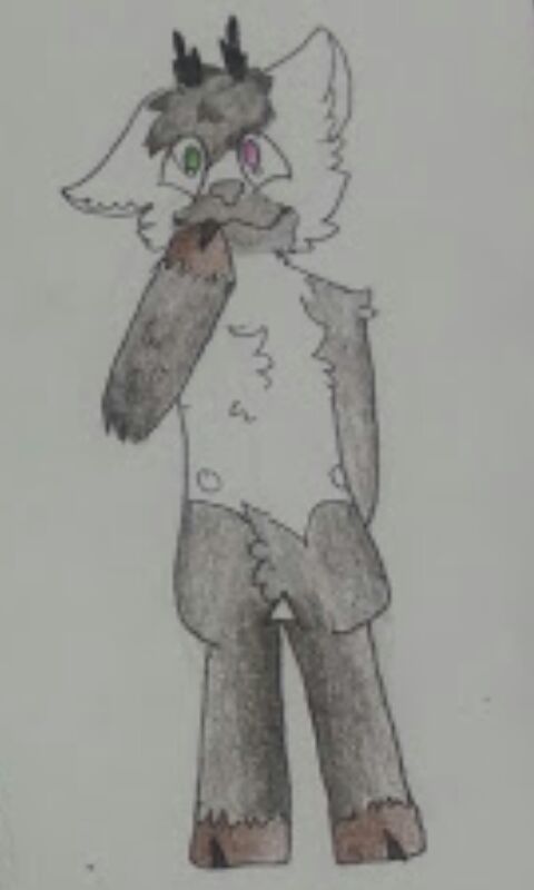 Ace The Rabbit Deer Hybrid | Wiki | Furry Amino