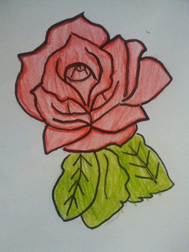 Rosa vermelha | °Desenhistas Do Amino° Amino