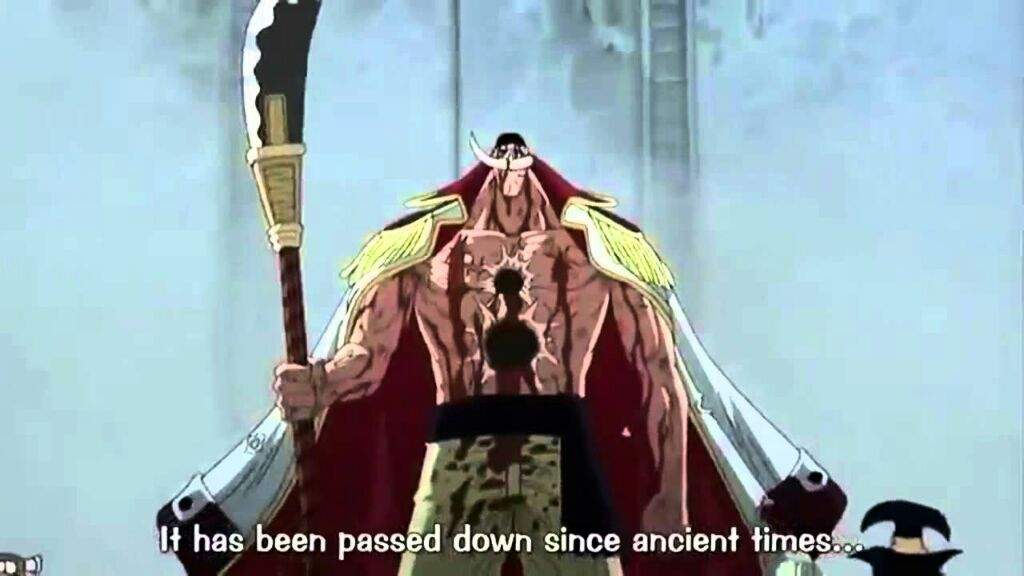 The Will of D? | One Piece Amino