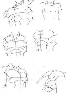 Dragon Ball Z Body Sketches Wiki Drawing Amino