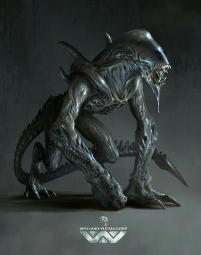 F.T.Xenomorph | Wiki | Alien Versus Predator Universe Amino