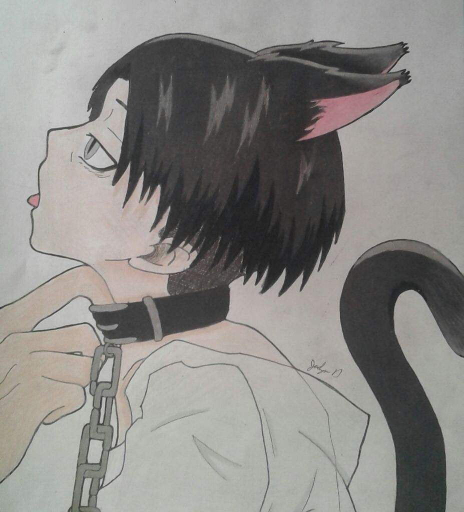 kitty levi