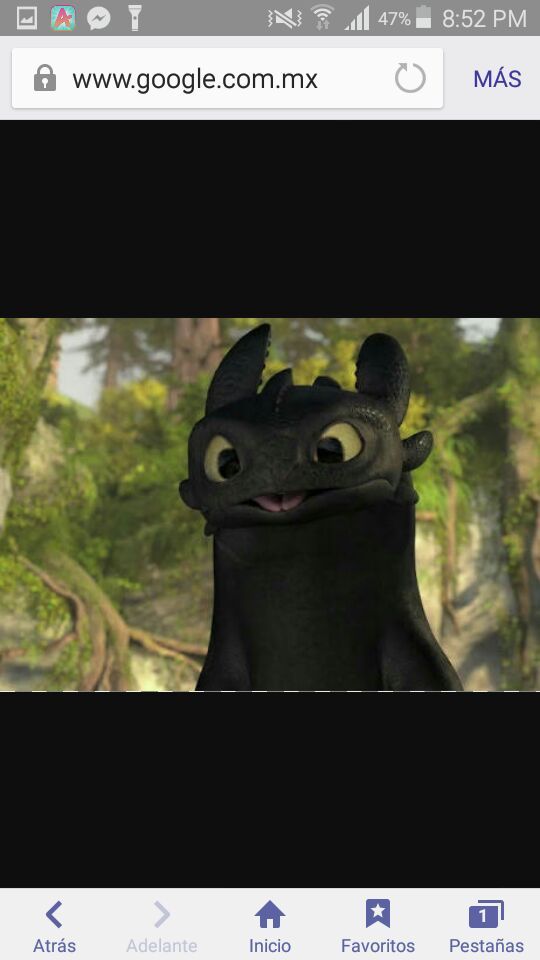 Todo Sobre Hipo Dreamworks Dragons Amino Amino