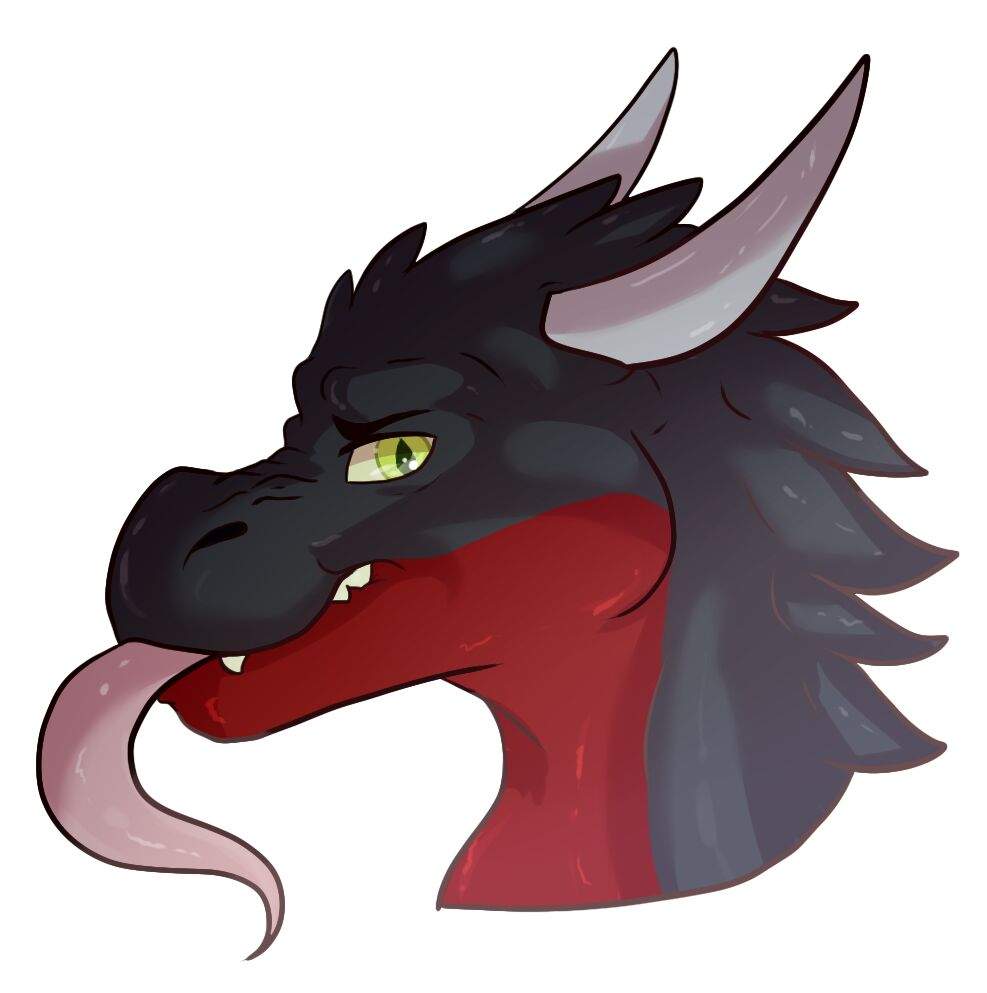 Duke The Bad Dragon Furry Amino