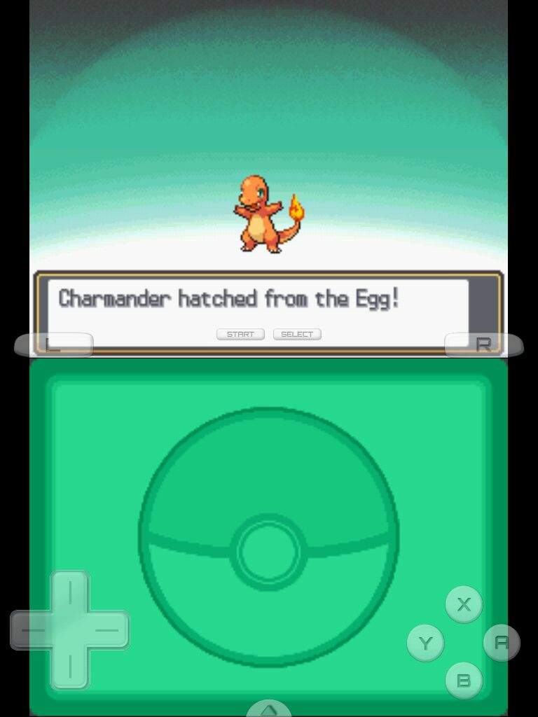 pokemon sacred gold egglocke