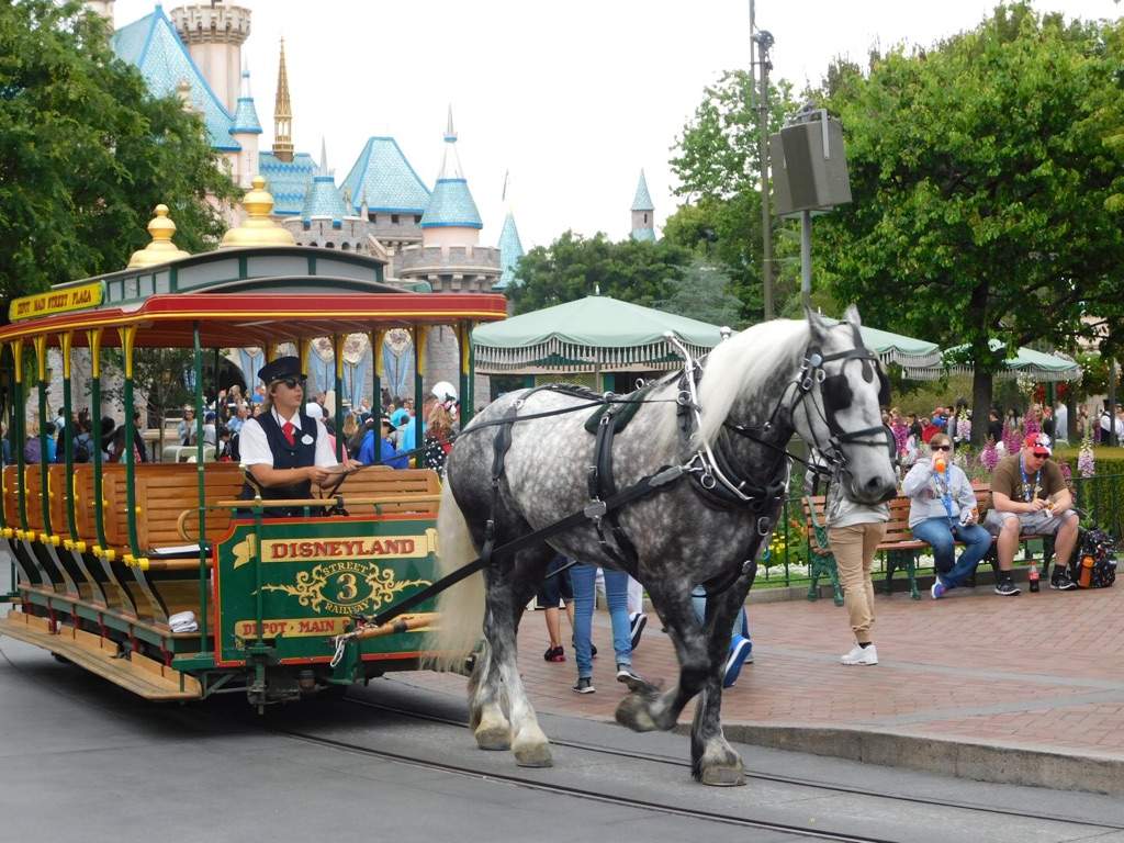 The Horses of Disneyland | Disney Amino