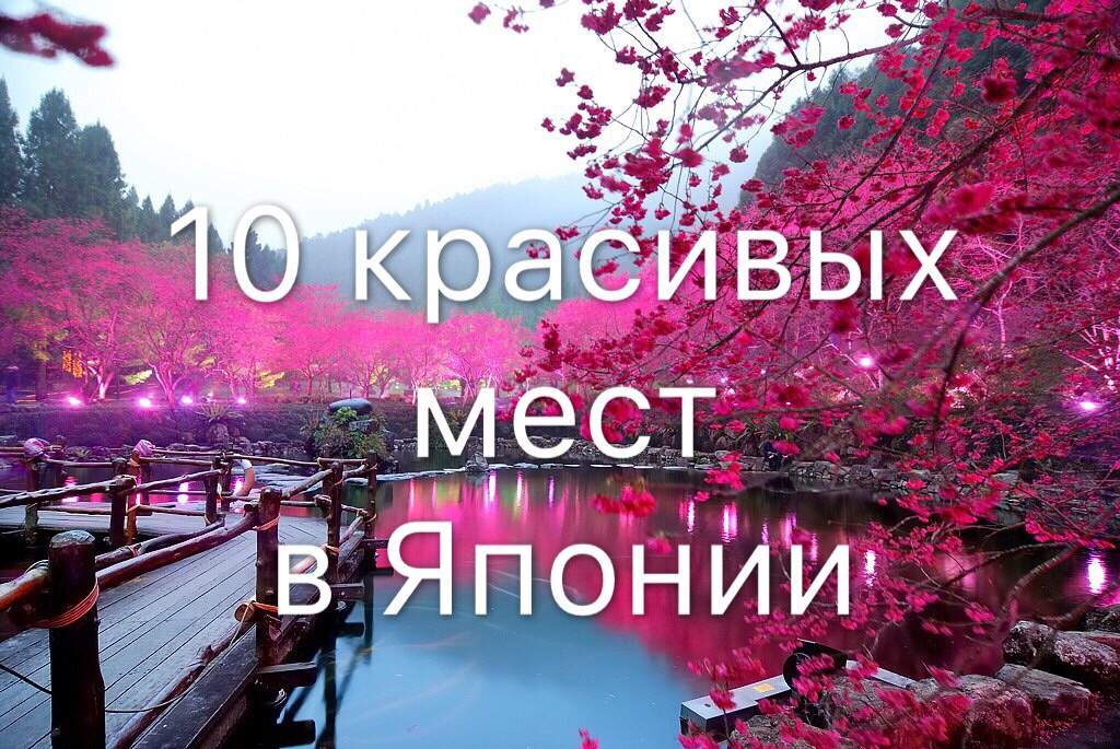 Япония Самые Красивые Фото