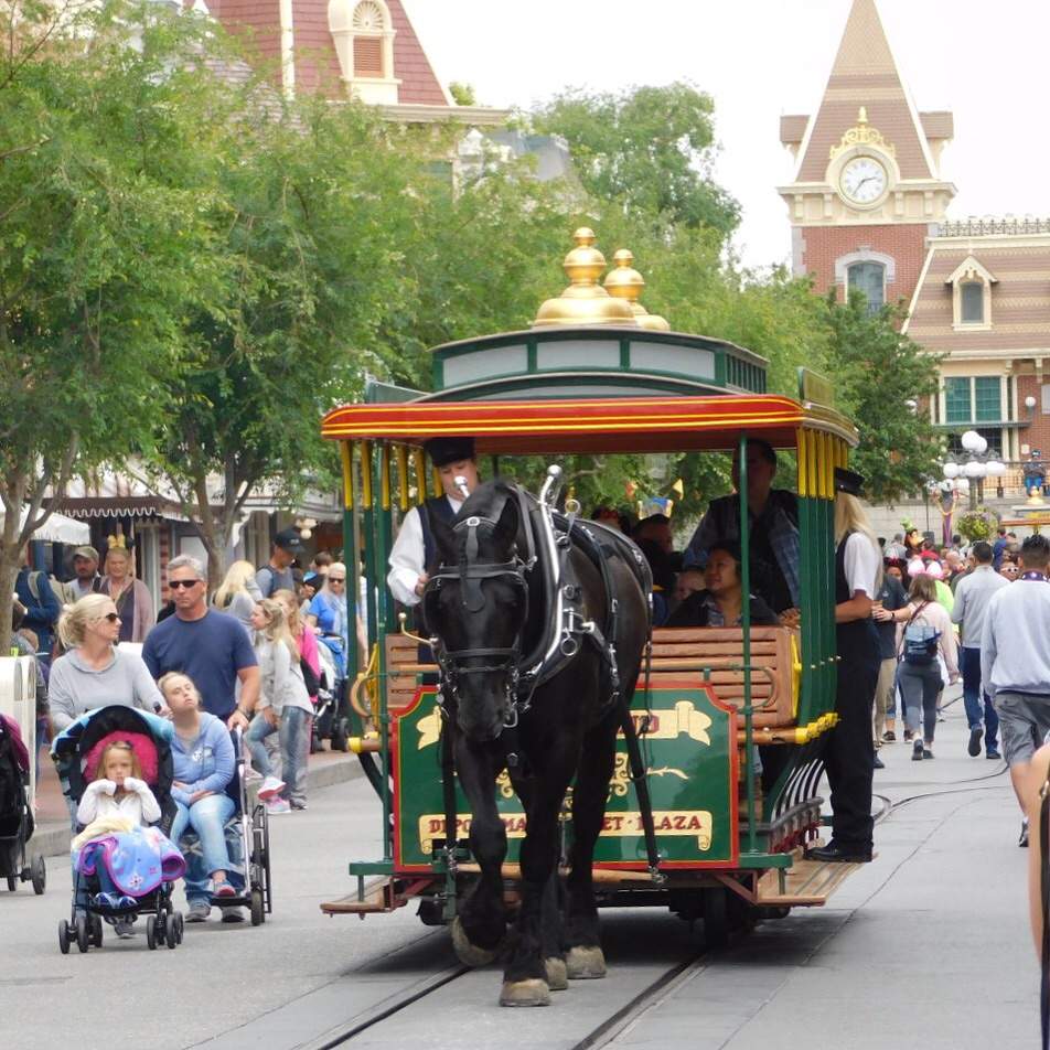 The Horses of Disneyland | Disney Amino