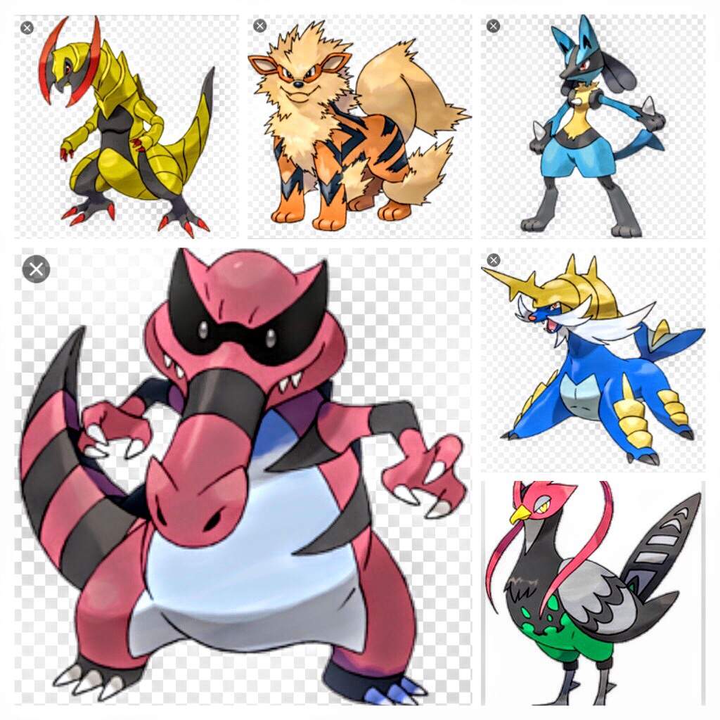 Best Team For Black/White 2 (Unova) | Pokémon Amino