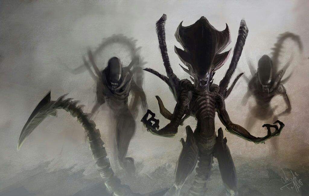 The small queen xenomorph | Wiki | Alien Versus Predator Universe Amino