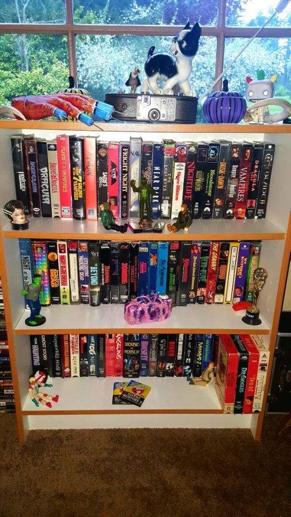 VHS shelves Horror Amino