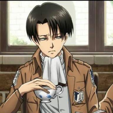 Levi Ackerman | Wiki | Attack On Titan Amino