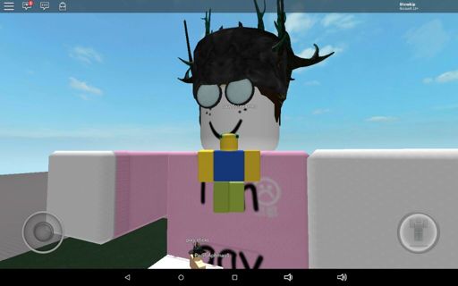 More derpy times in Roblox | Roblox Amino