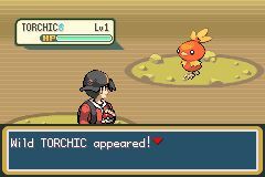 Pokemon Shiny Gold X Where To Find Torchic Pokémon Amino