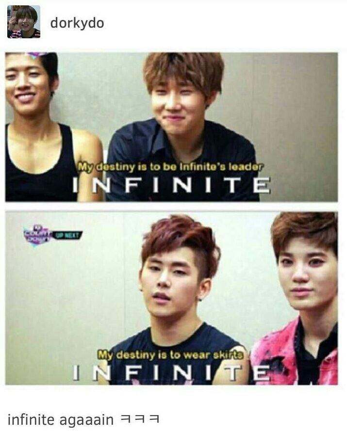 Infinite Memes Update | 🔸Inspirits🔸 Amino