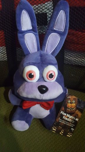 I got bonnie | Five Nights At Freddy's Amino