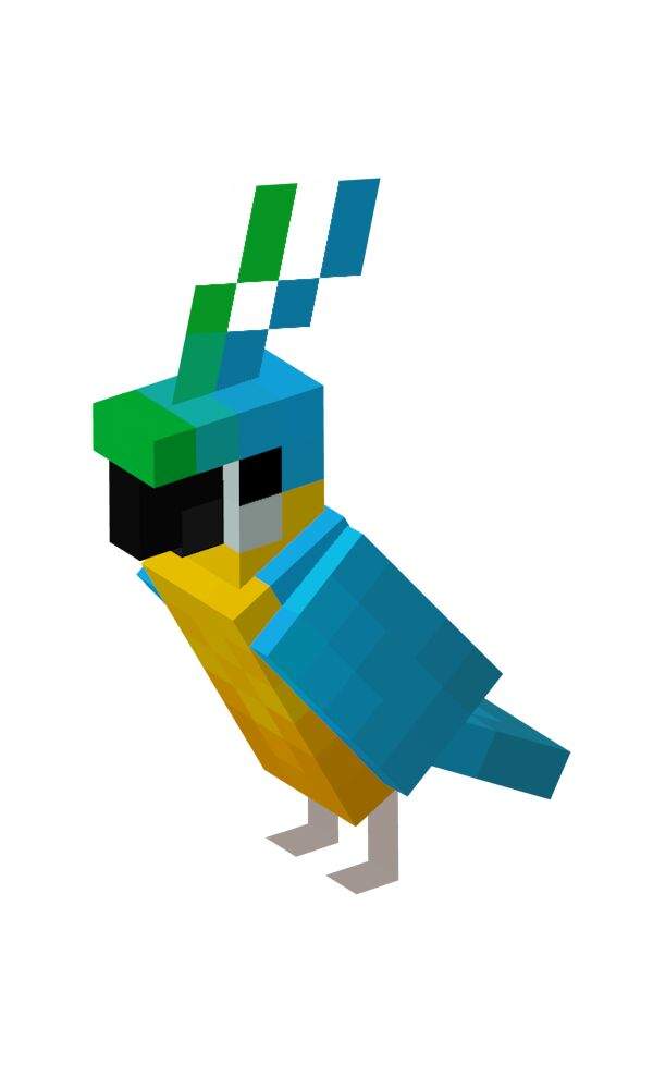What Are Parrots Minecraft Amino