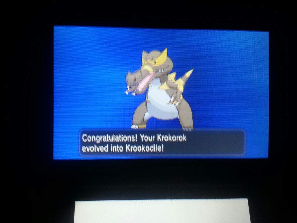 shiny krokorok x and y