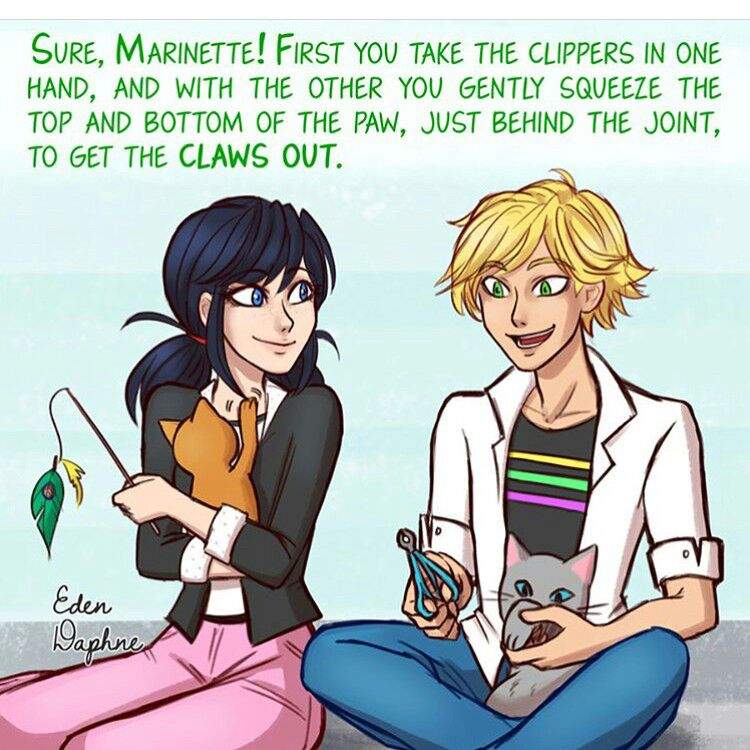 Cr: Eden Daphne [on Instagram] | Miraculous Amino