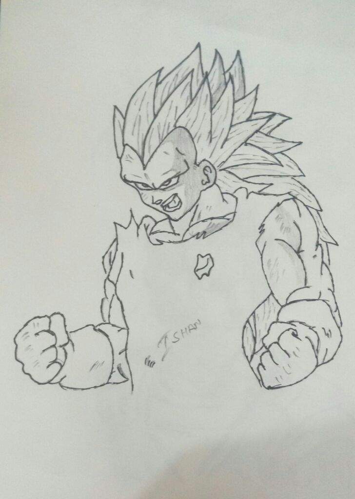 Vageta SSJ3 Sketch !!! 😊 | DBZ Amino