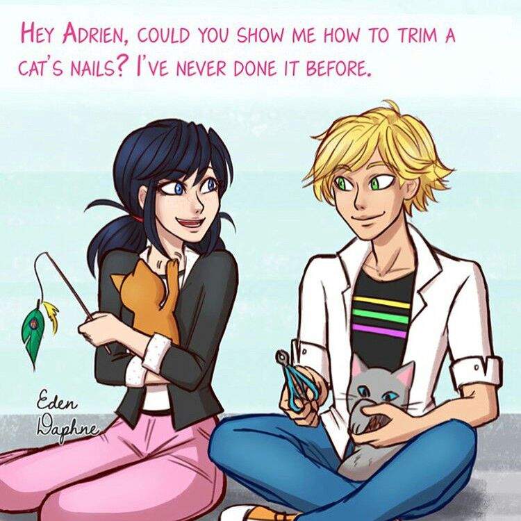 Cr: Eden Daphne [on Instagram] | Miraculous Amino