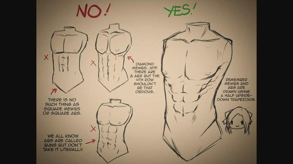 Male Body References | Wiki | Drawing Amino