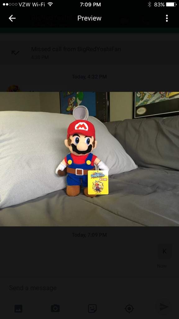 mario sunshine plush