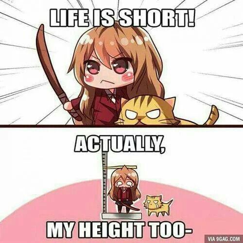 Pop Cat Cute Anime Meme GIF  GIFDBcom