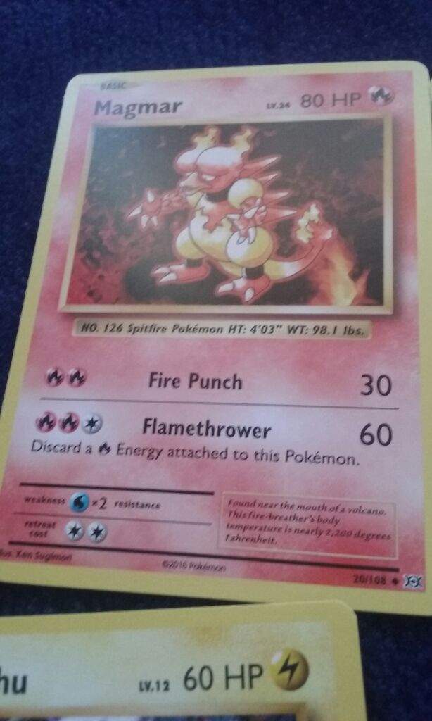 My Pokemon Cards Pokémon Amino