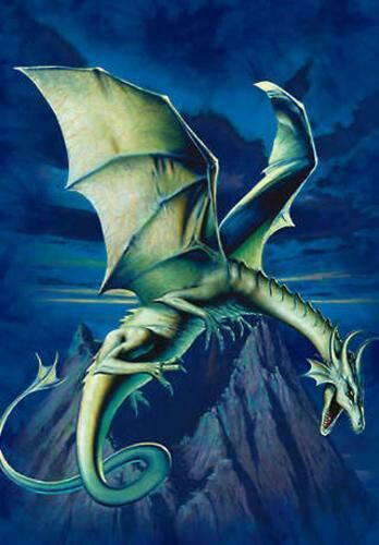 Dragon De Veneno 