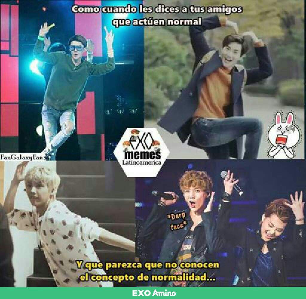 Memes Part 5 EXO Amino Amino