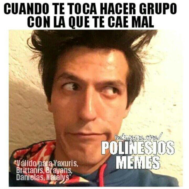 Memes | Los Polinesios • Amino • Amino