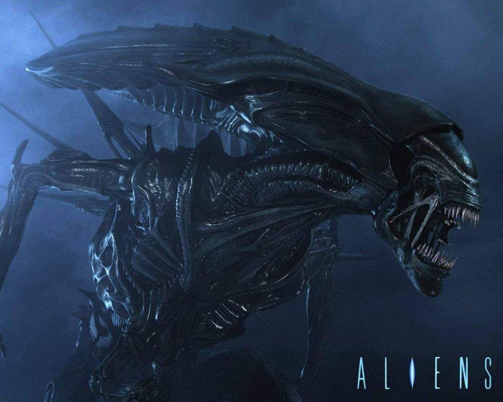 Xenomorph Species | Battle Arena Amino Amino