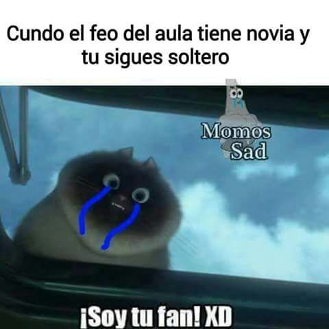 Momos sad | •Guerra De Memes Amino• Amino