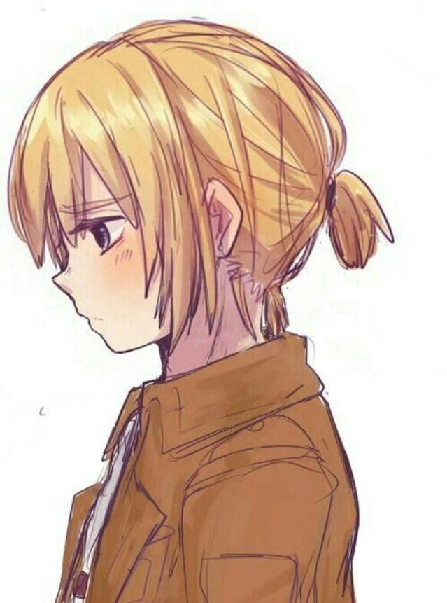 armin arlert pop