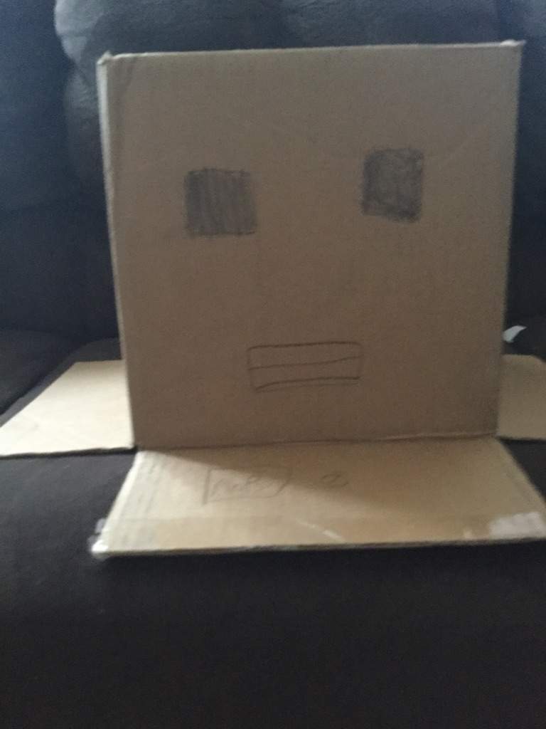 Roblox Cardboard Robot Head