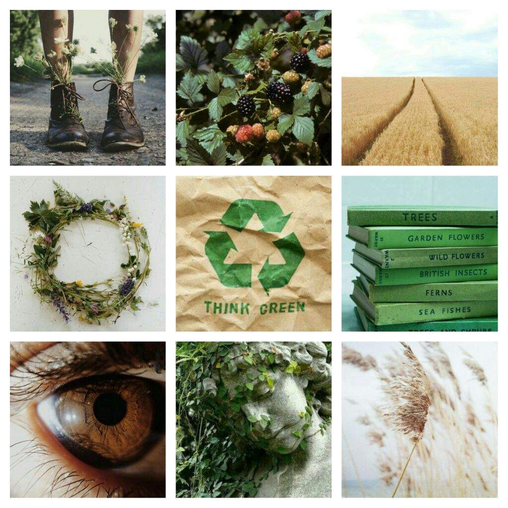 The gods - Moodboards | Halfblood Amino