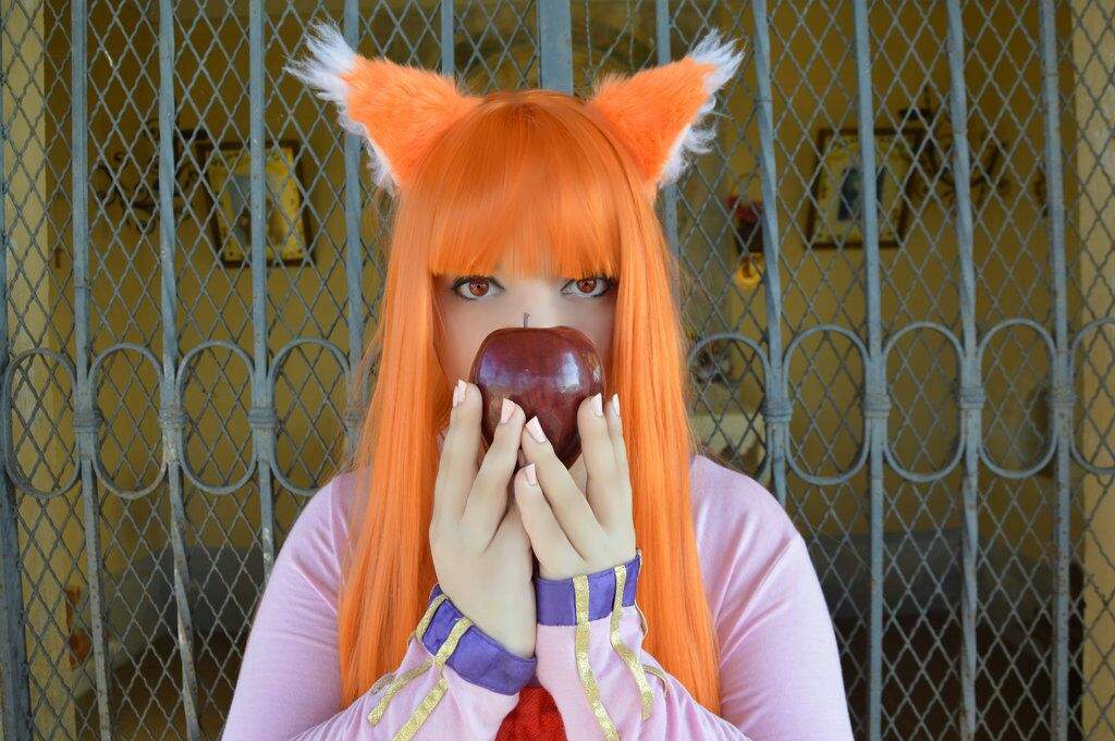 spice and wolf cosplay