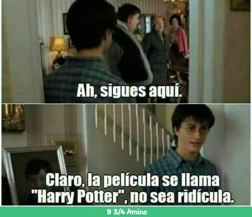 Memes 12 Harry Potter Espaol Amino