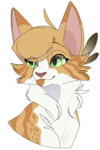 Gold the kittypet | Wiki | Warrior Cats Clans (6 Clans)! Amino