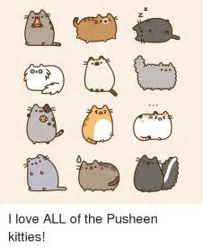 Can Pusheen transform? | Pusheen The Cat Amino Amino