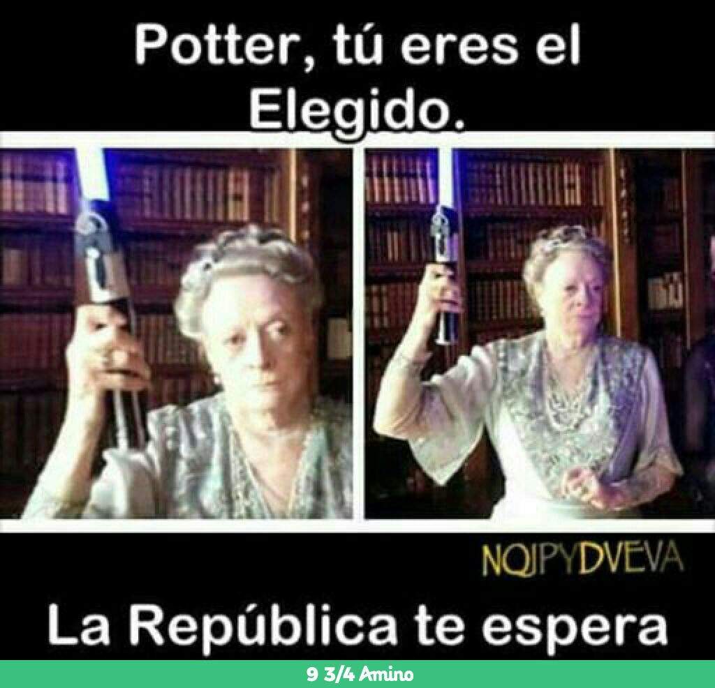 Memes 12 Harry Potter Espaol Amino